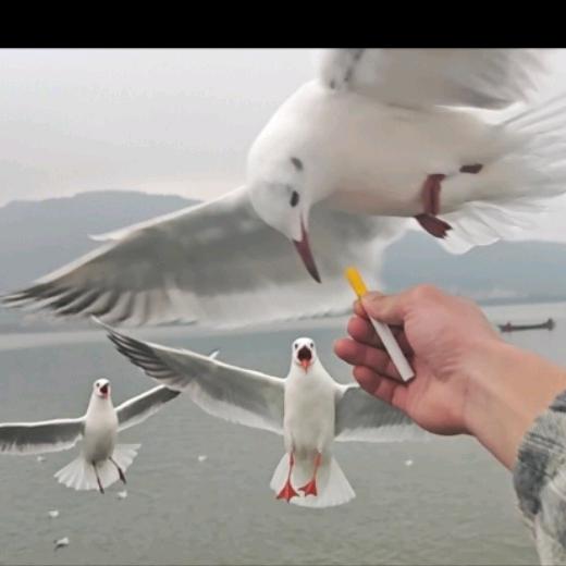 一圈一点