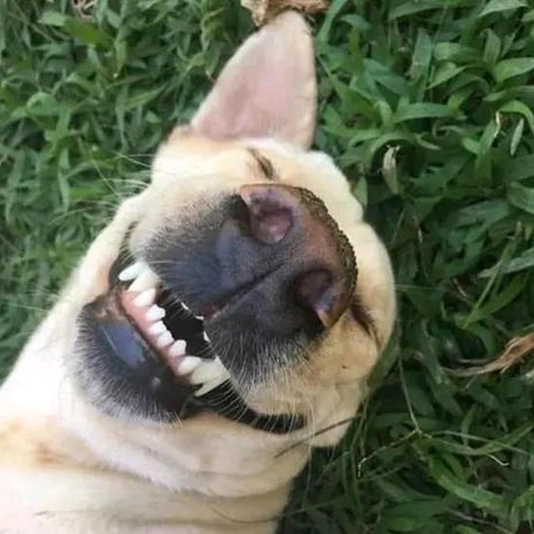 (((つ•̀ω•́)つ