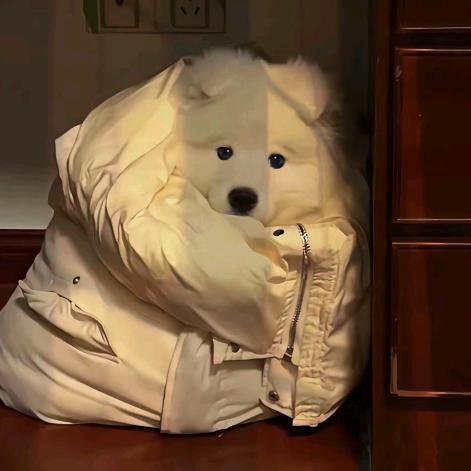 难走的独行ᗦ↞︎◃︎