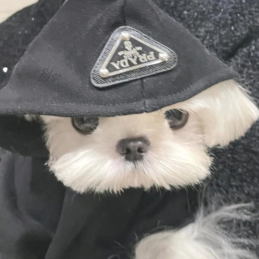*T奇小家电