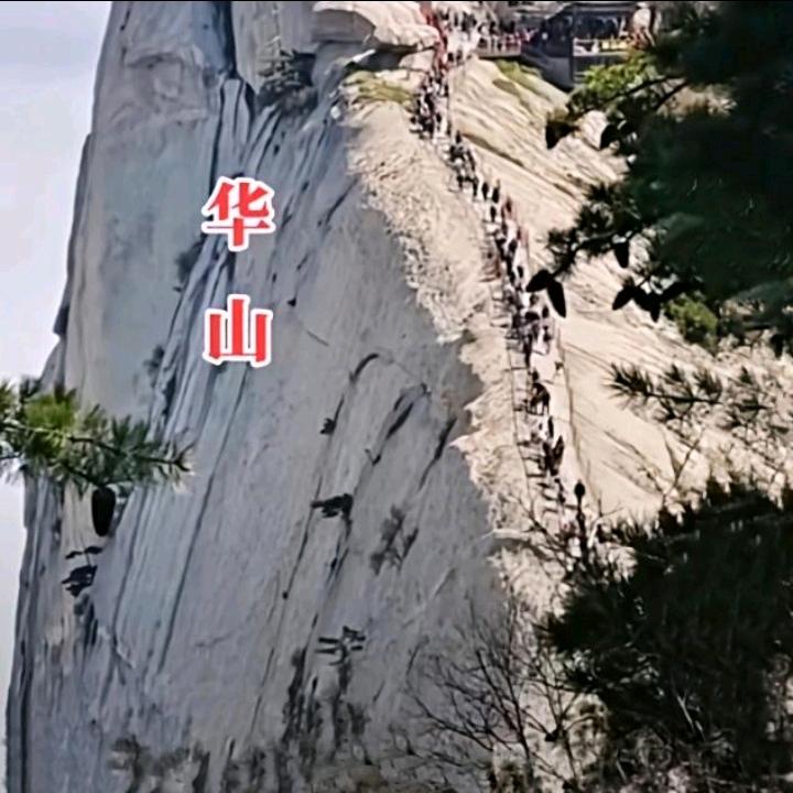 残疾刘哥