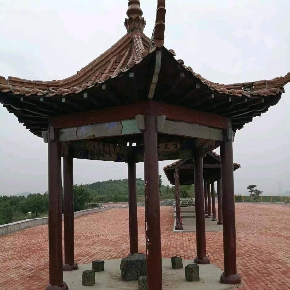 我任我行