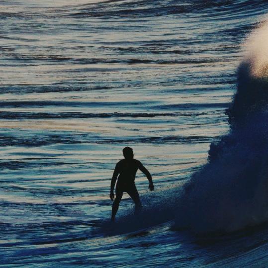 提醒我要去遛狗