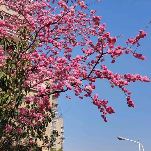 是你呀-晨间音乐时光