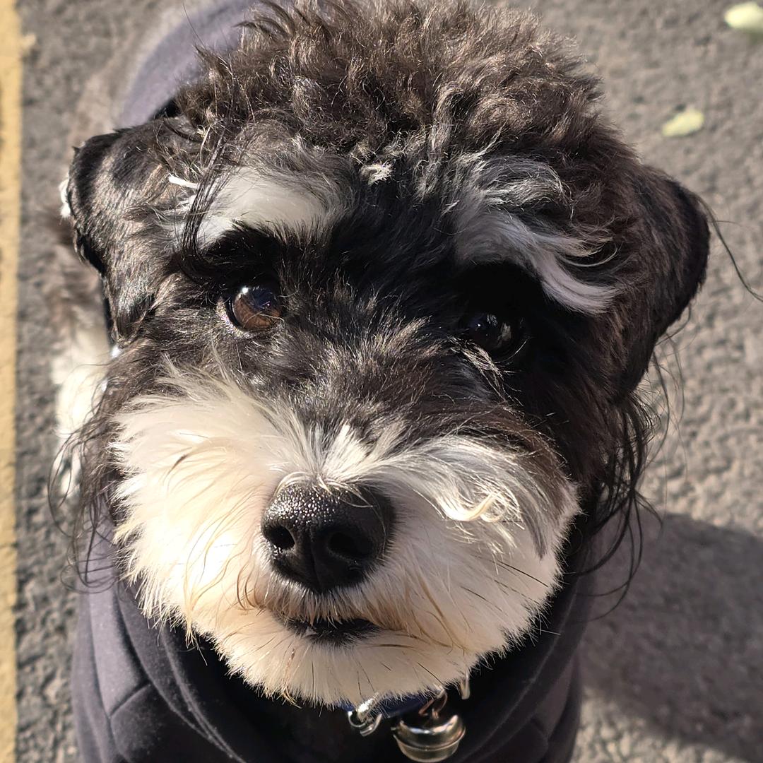鸿泽名车·雨泽