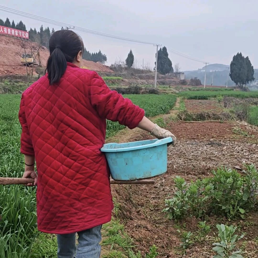 李大姐的农村生活