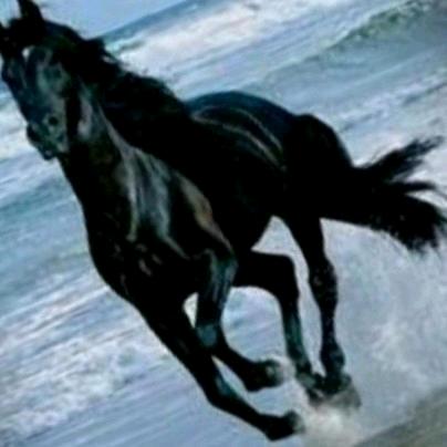 A贤《废金属回收》