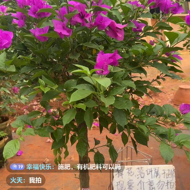 为了生活加油