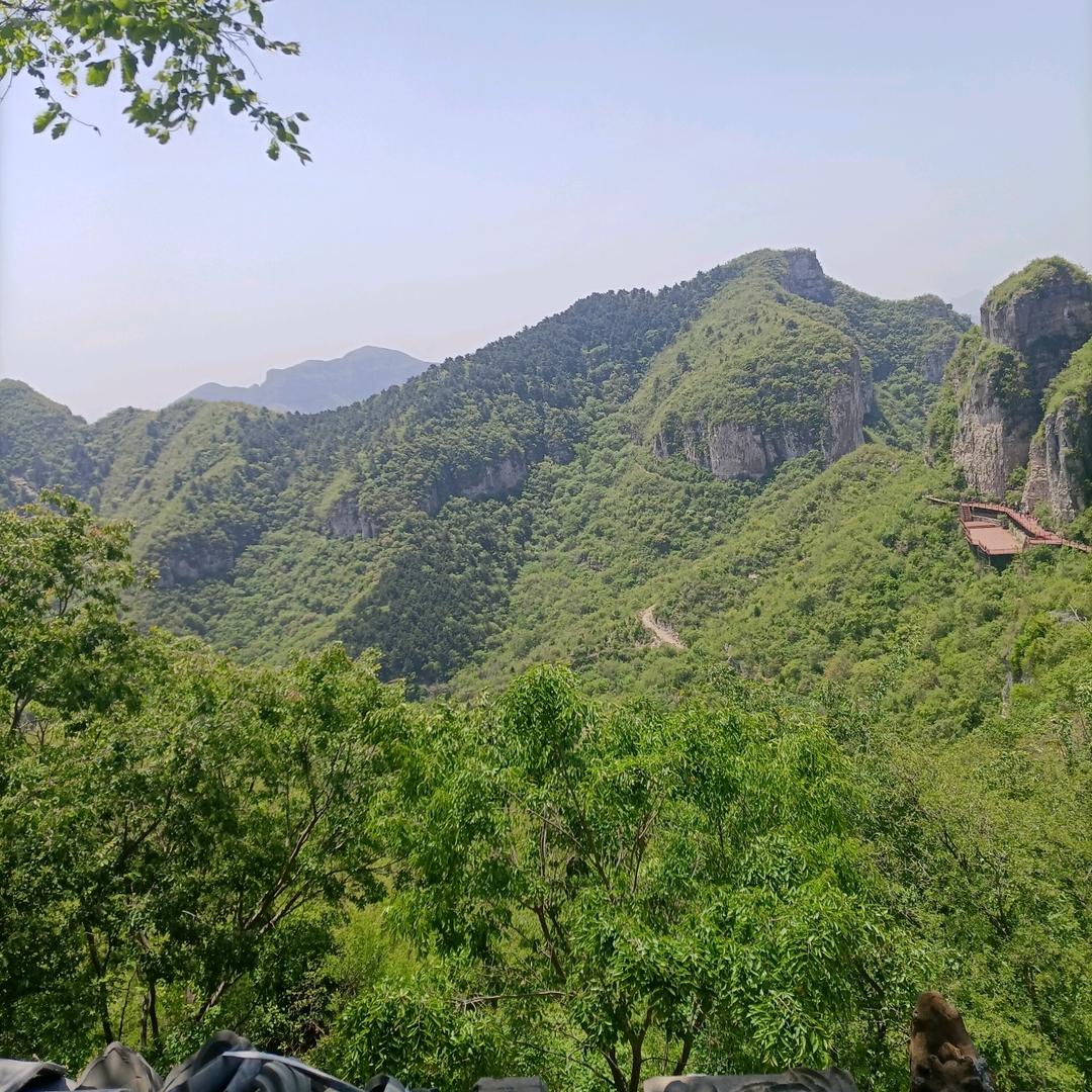 龙跃