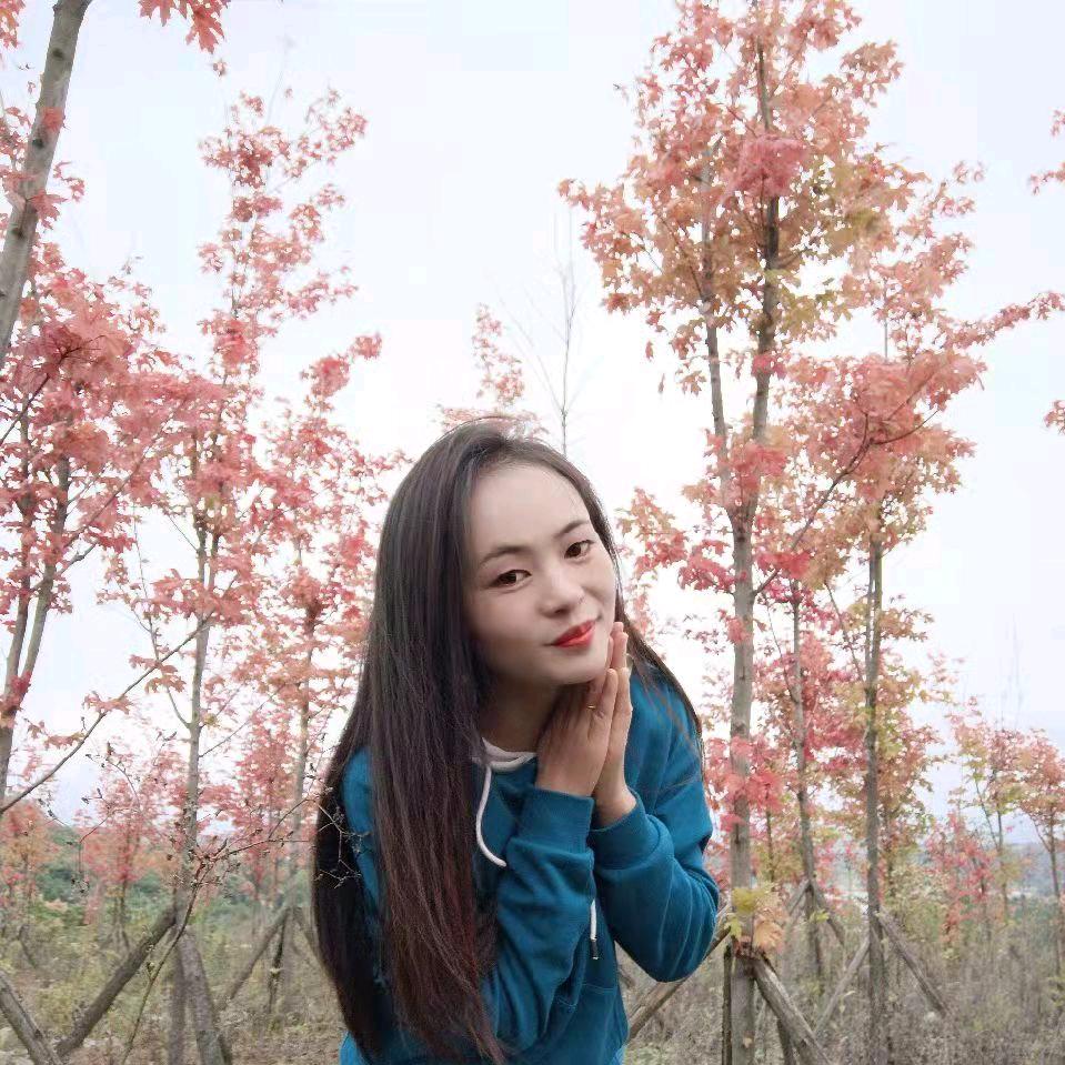 乌密草植物养发