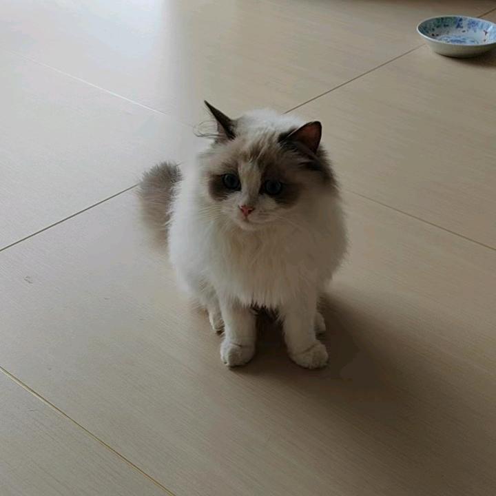 19205211021🐟🐟🐟