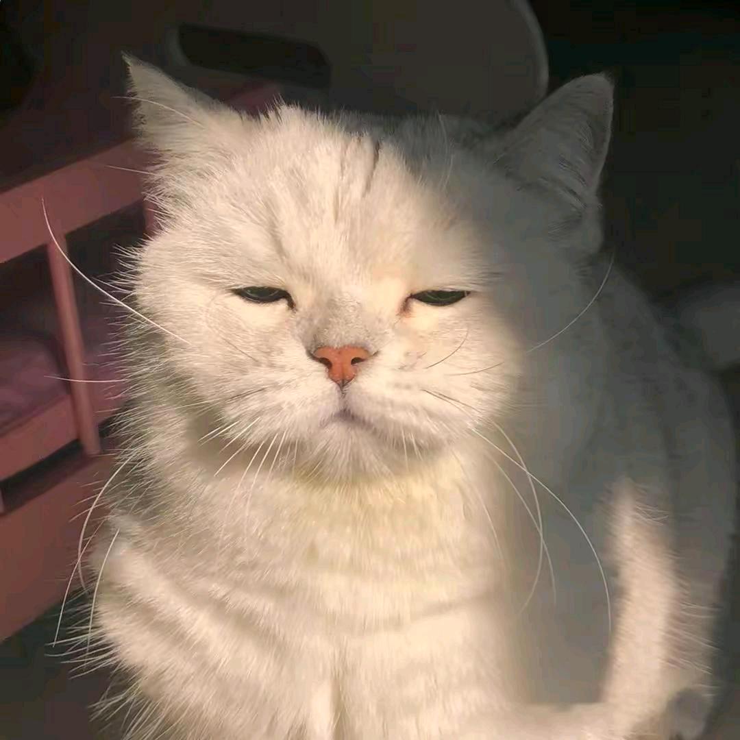 咕噜睡觉
