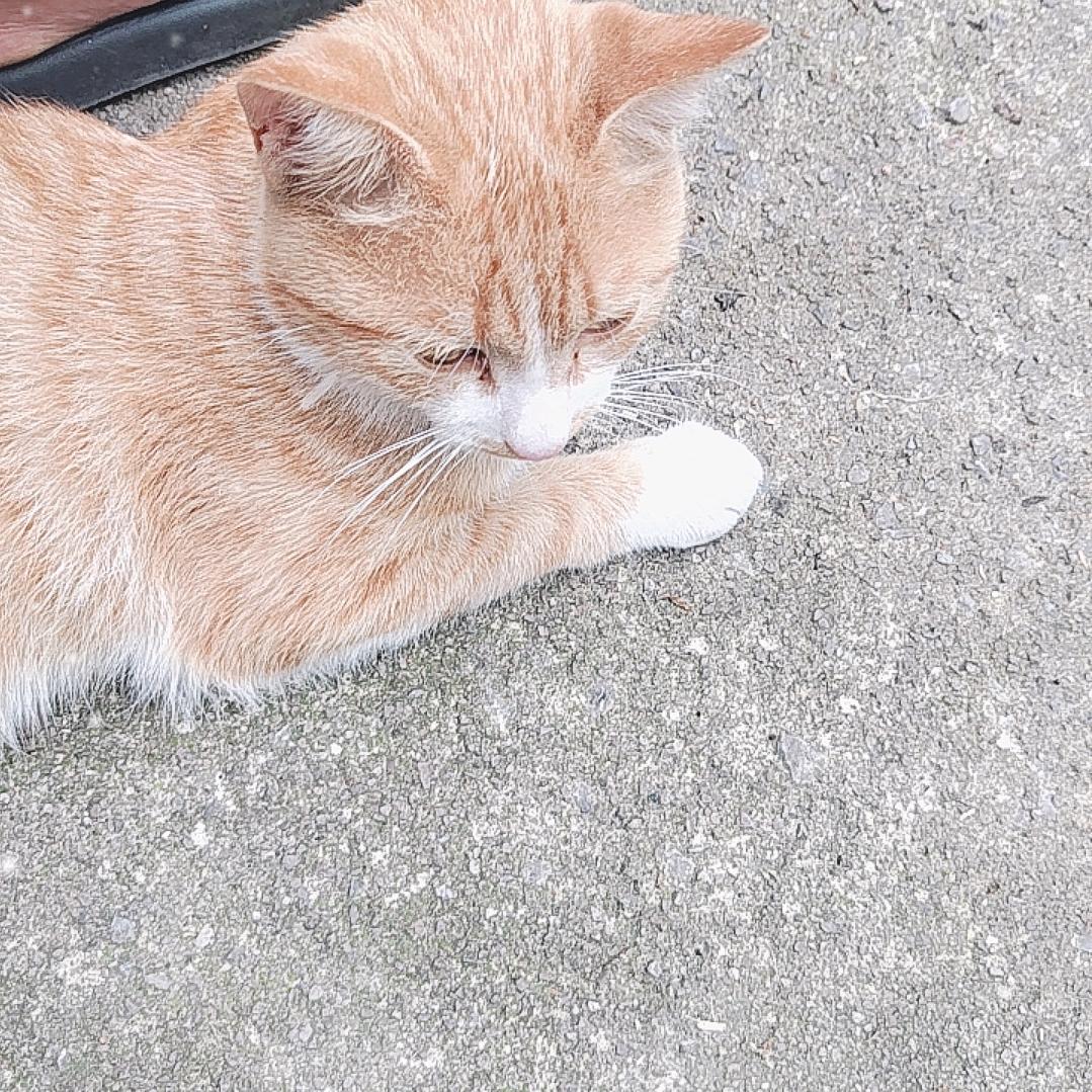 和靓仔的日常