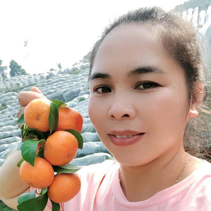 香姐（桂林沙糖桔代办）