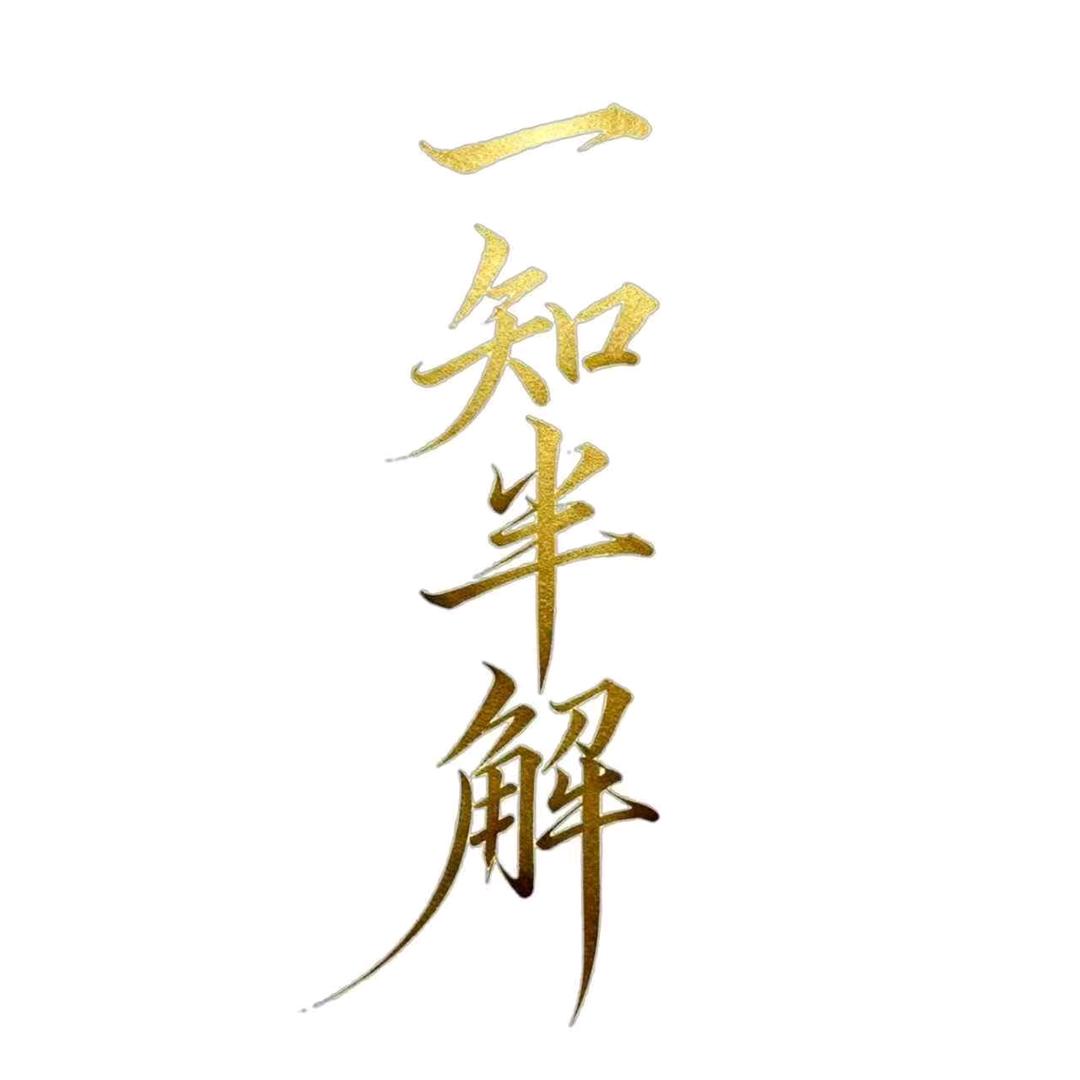 一知半解