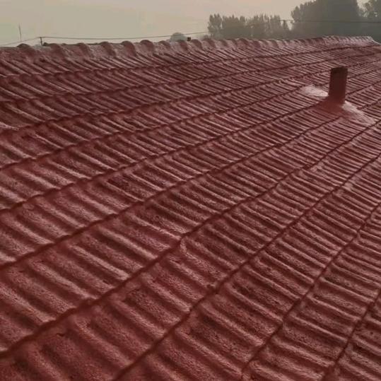 金刚橡胶屋顶阳光雨棚