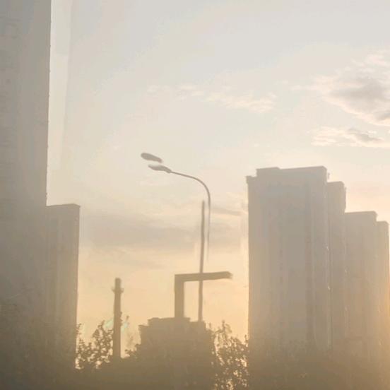 林安