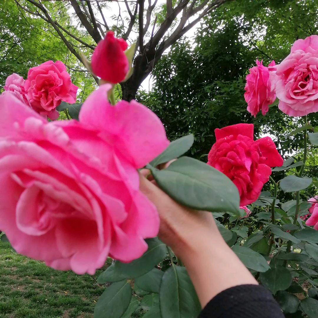 开心666拒绝私聊😜😜🌹🌹🌹