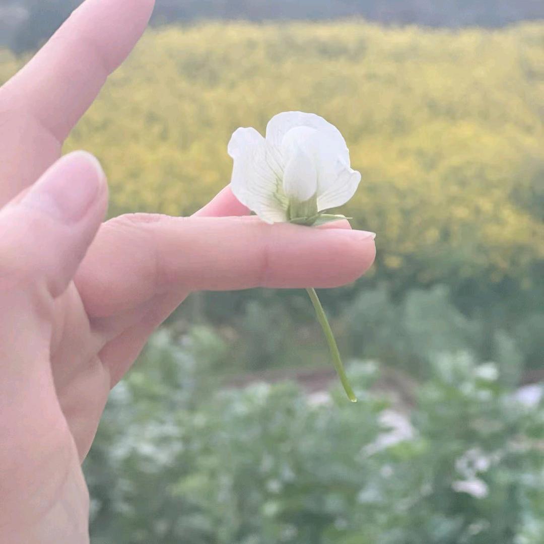 运满乾坤🇨🇳