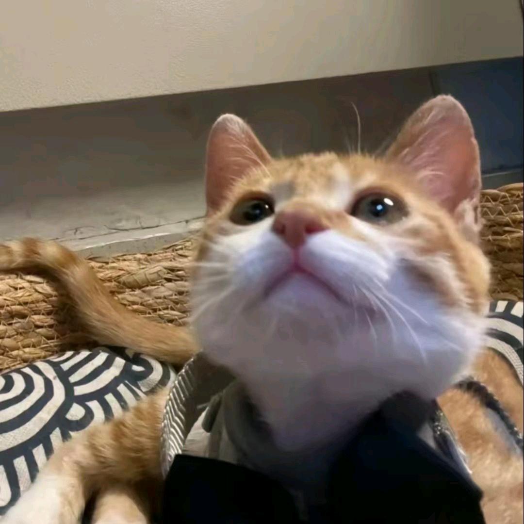 十年