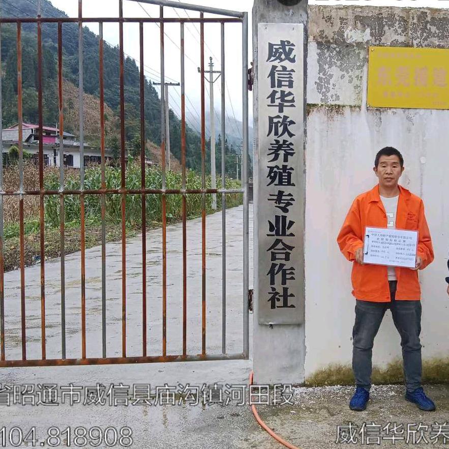 💔ꦿ໊养᭄殖林哥🕊᭄ꦿᩚ٭