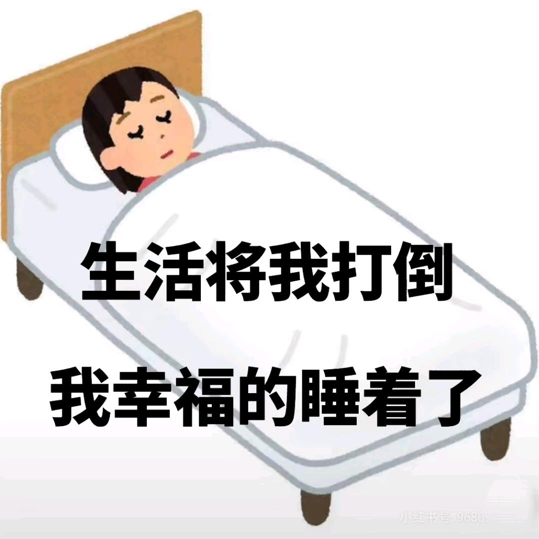 喵喵不是笨喵喵