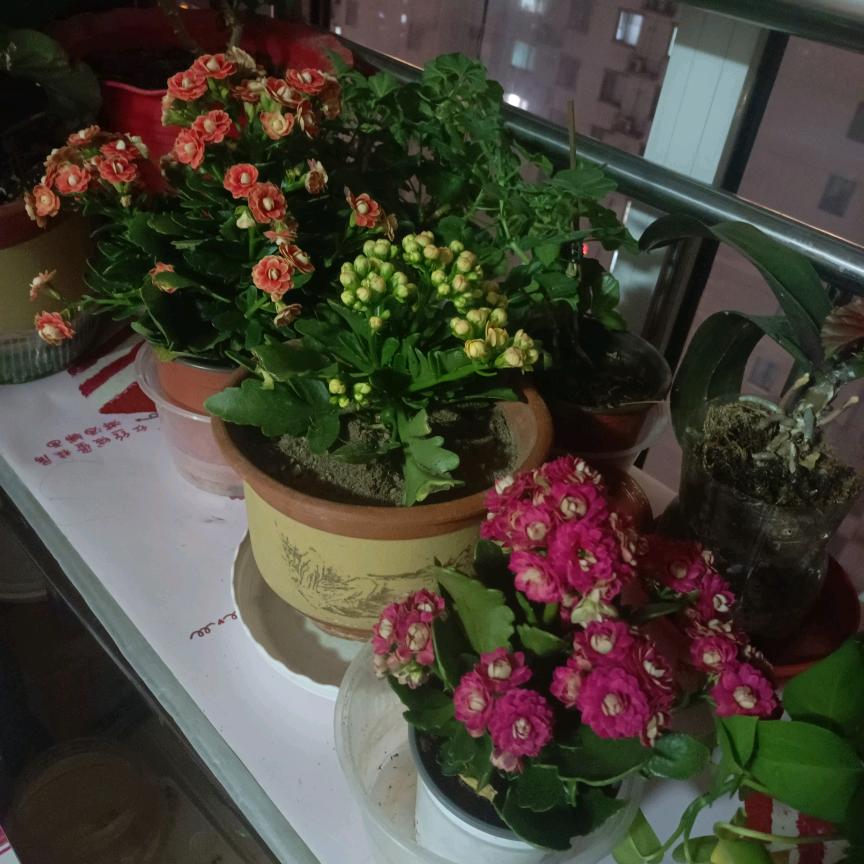 ą② ⓺ ⑨⒨.₡⊚ྊ👈叟这个⭕