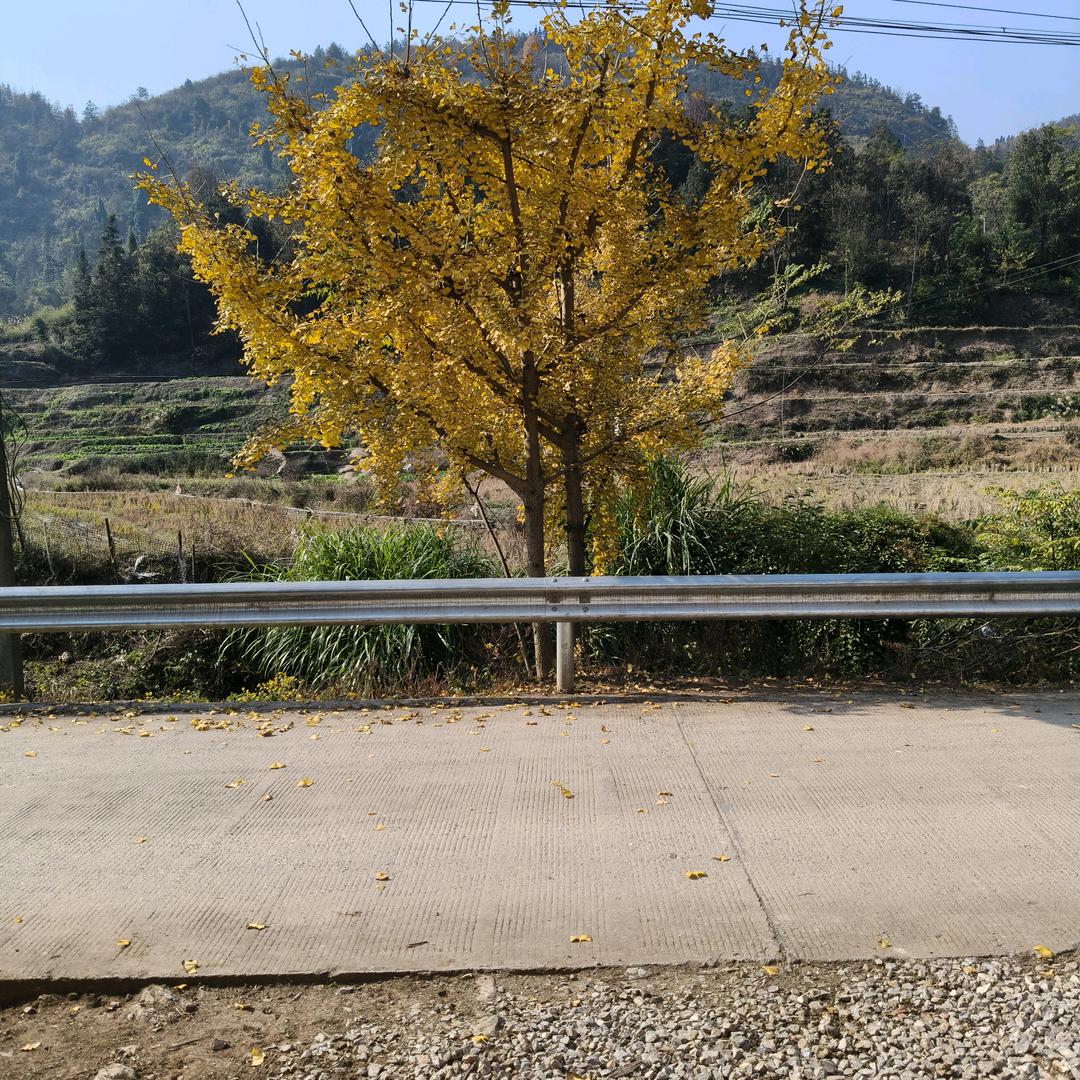 @六年级数学冲刺营