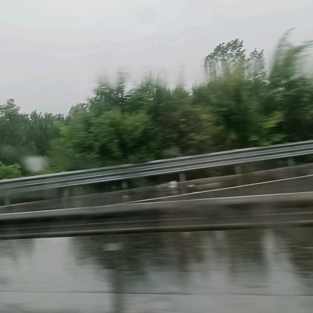草原飞鹰