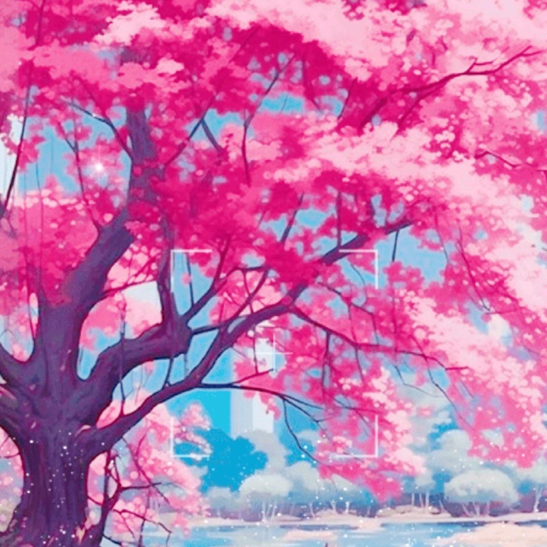 樱花🌸雨梦