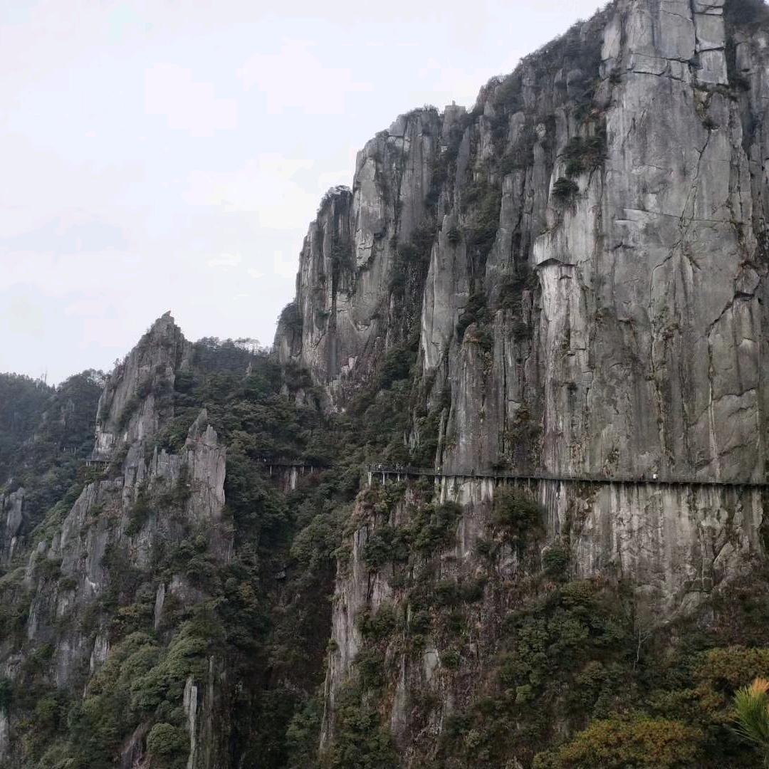 温汤小林、林韵旅居