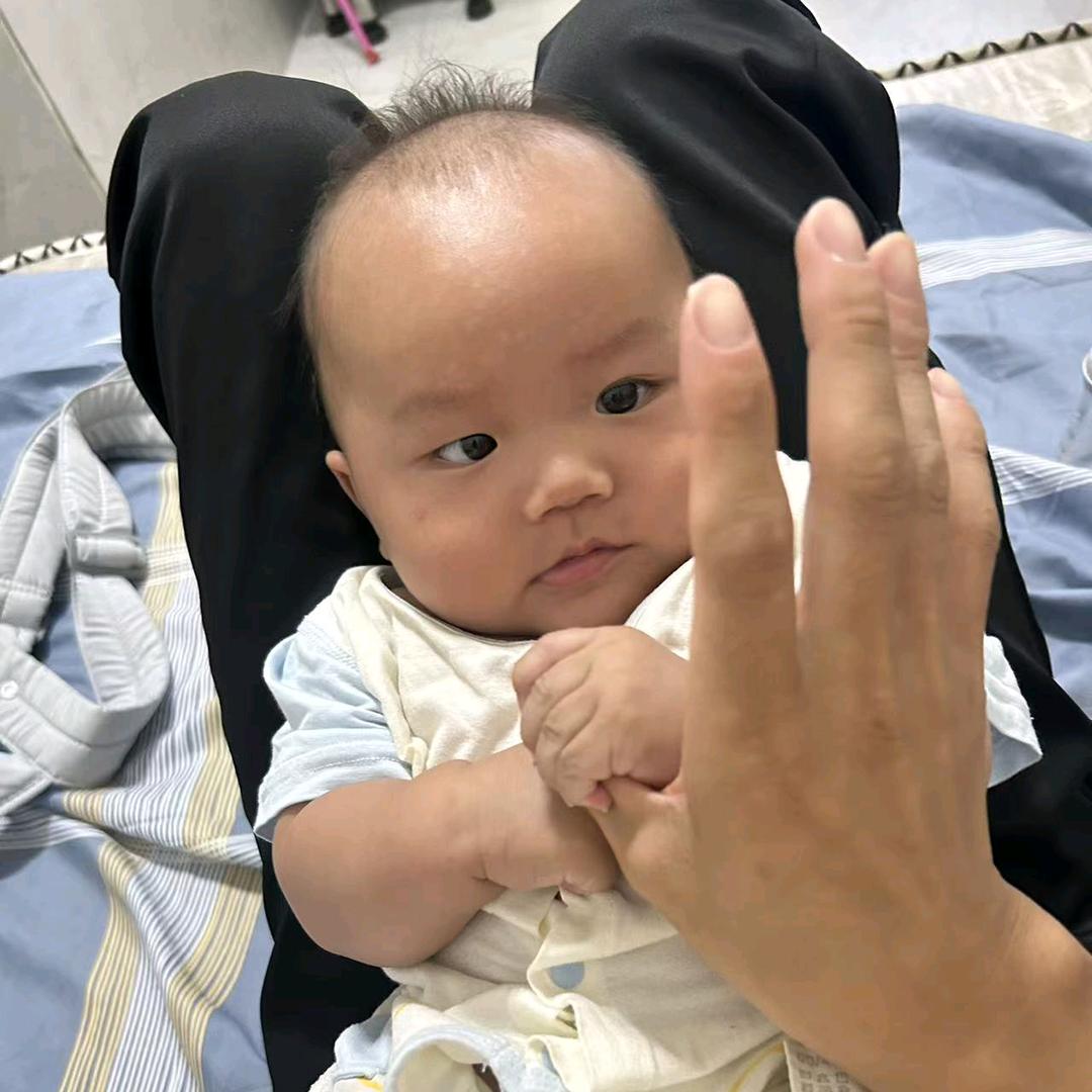 团团的日常《直播号》