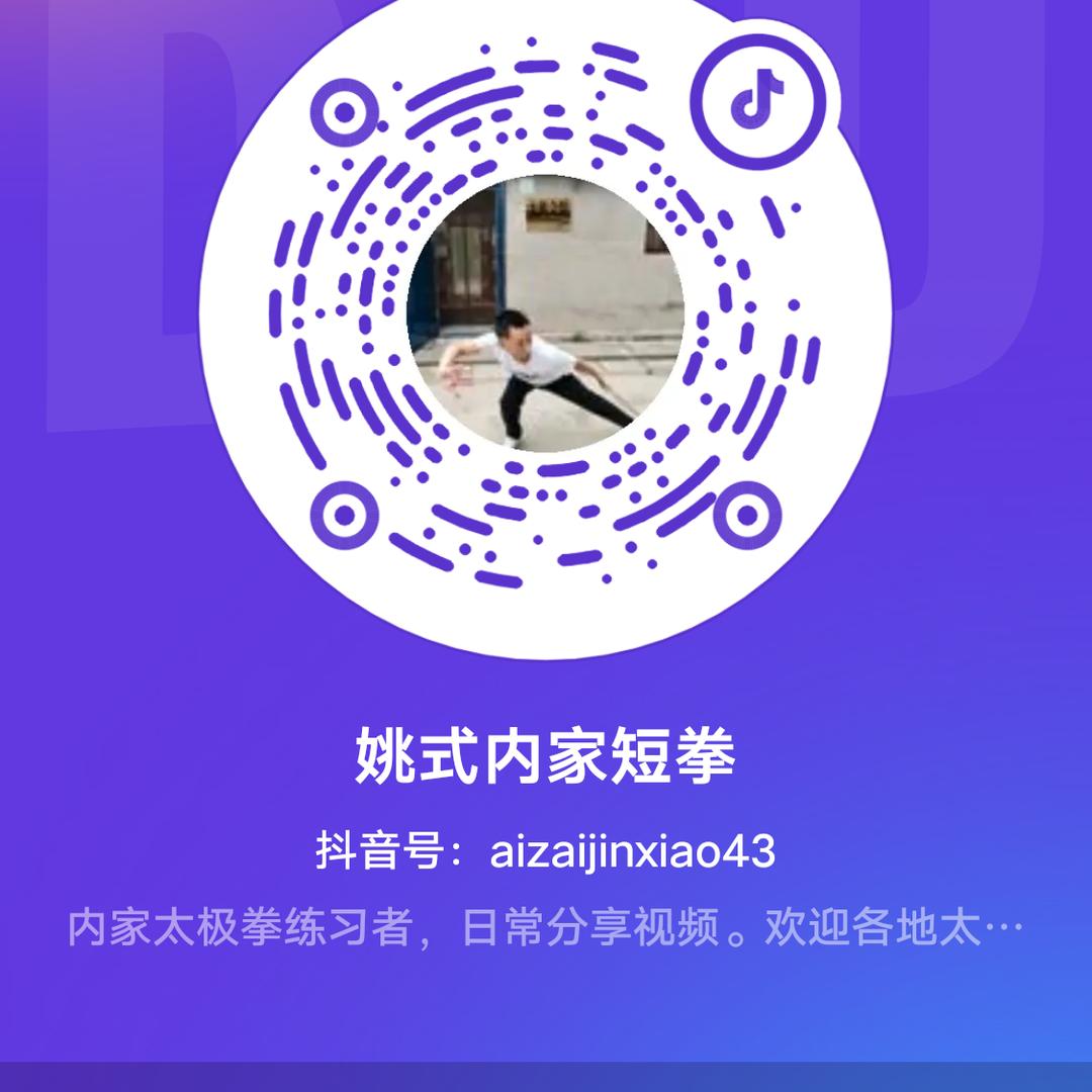 姚式内家短拳