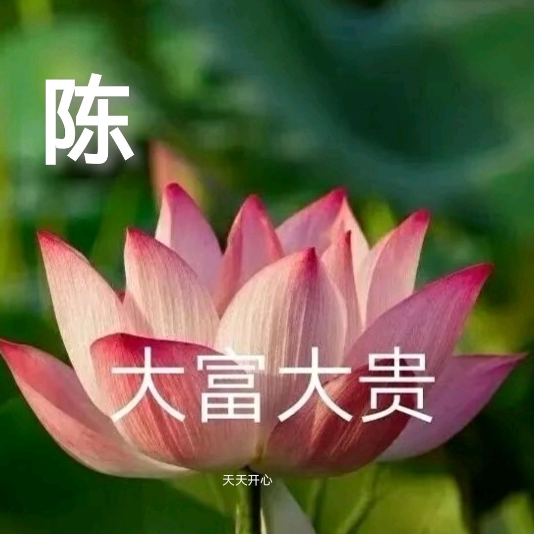 陈琼