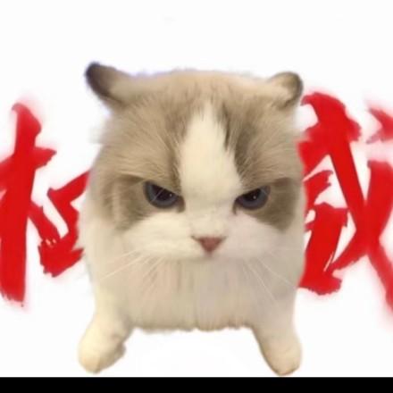 暗区突围只因
