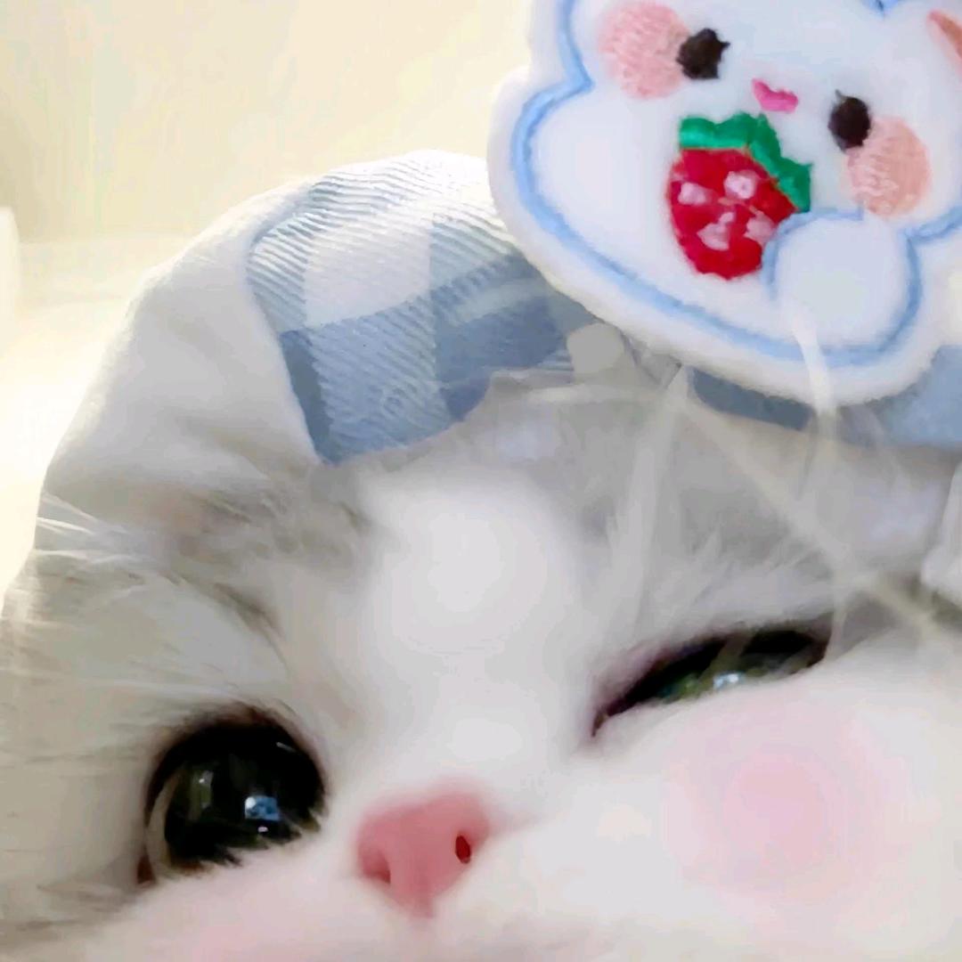 不拿拿拿拿