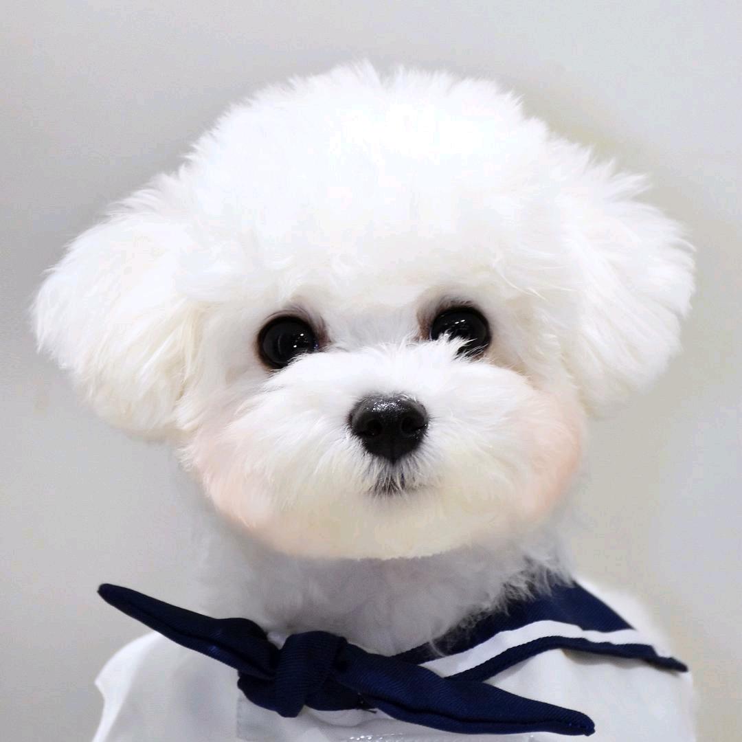 可爱ớ ₃ờ丫