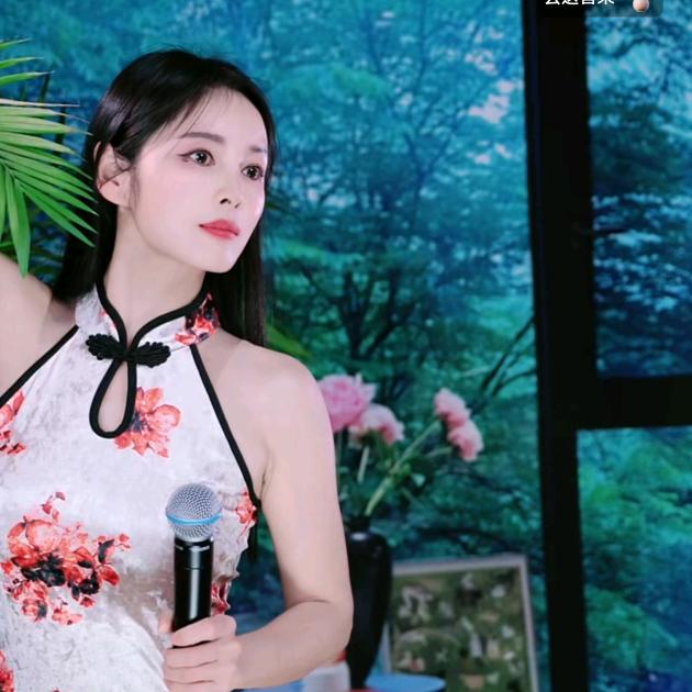皮卡九（锂电姐姐）