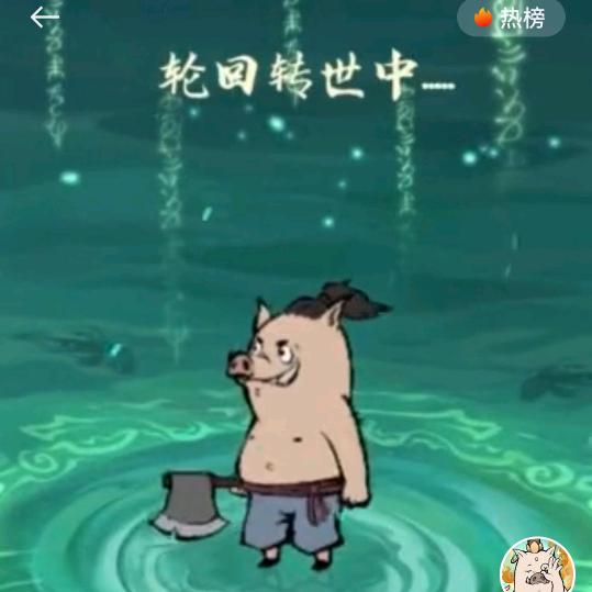 你的小李子