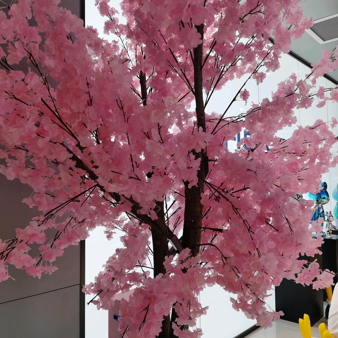 一片冰🌸