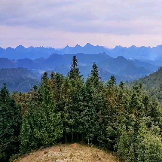 行龙观景