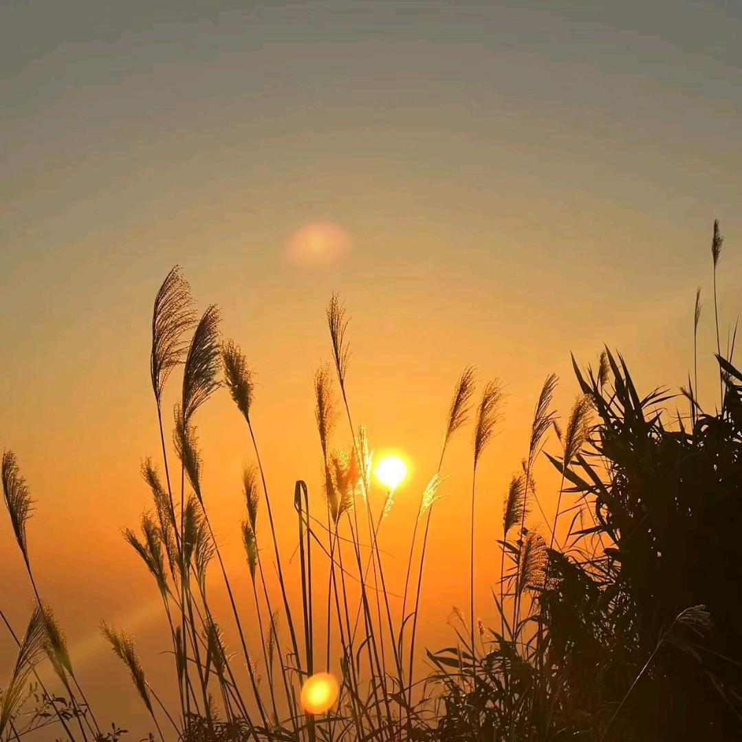 🇨🇳杨帆起航🇨🇳