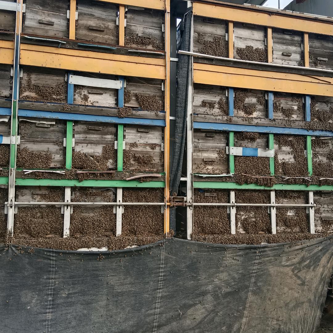 襄玉蜂源成熟蜂蜜