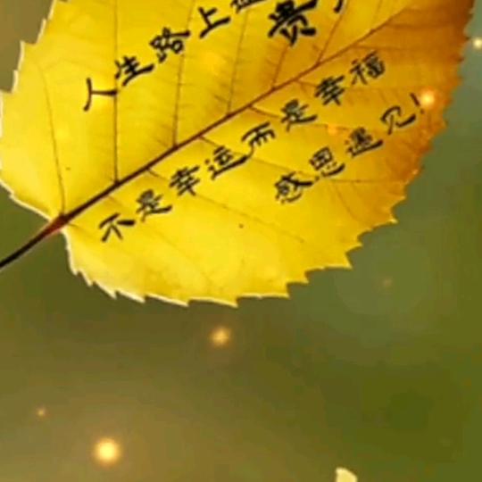 原野