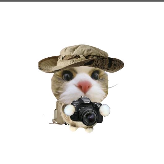 贝壳侠🐚（杭州约拍dd