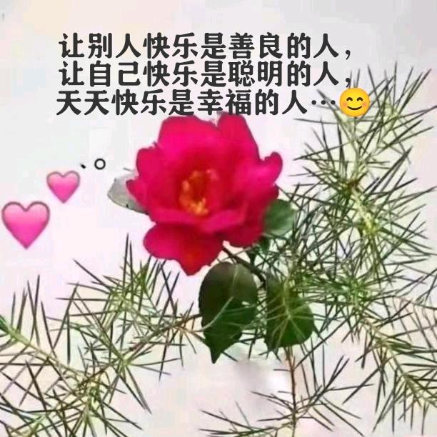 珍惜一一