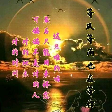 等风等雨等你