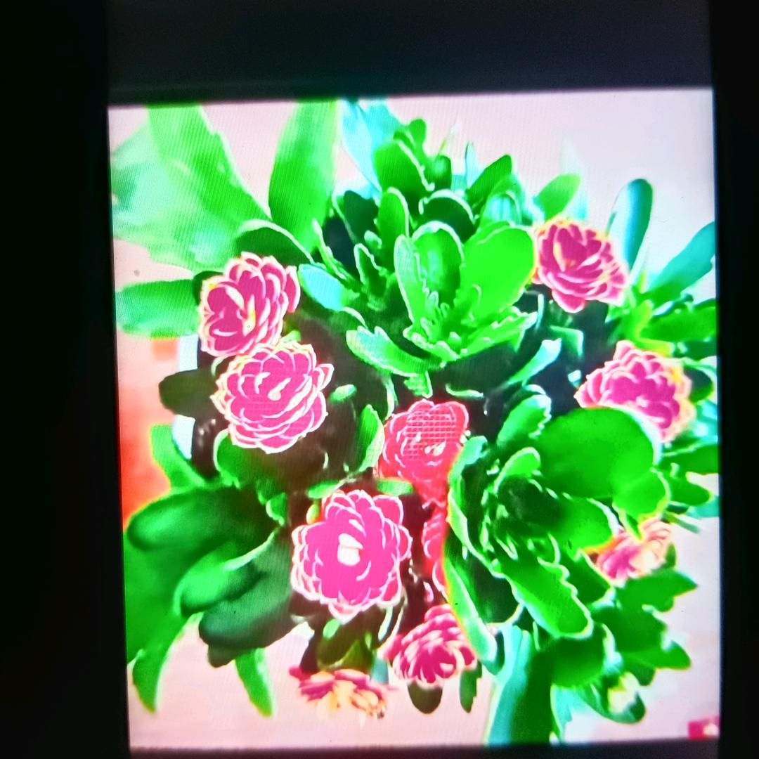 好吃，才能带好货品