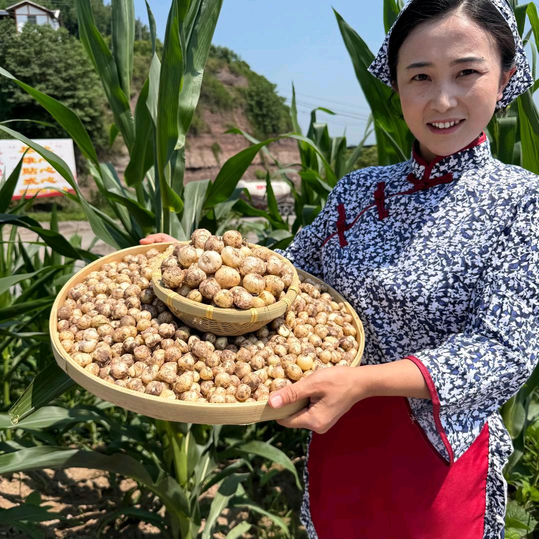 竹乡农品汇