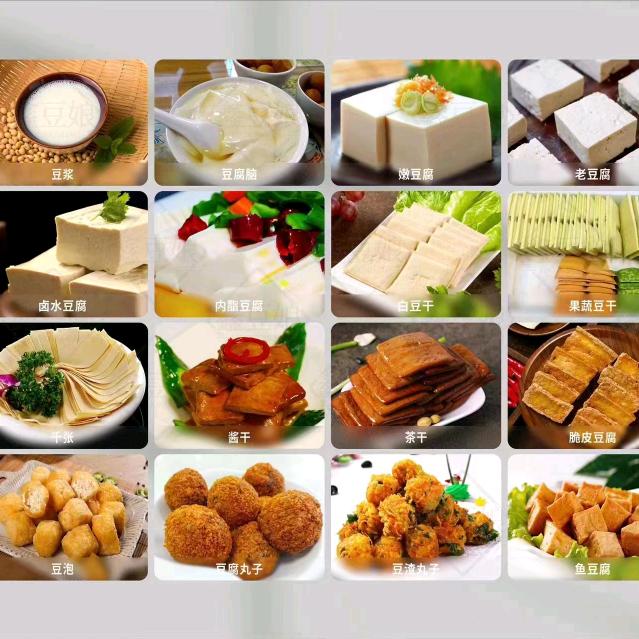 专业豆腐机设备专业豆制品技术厂家
